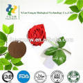 Hot sale best quality pure rose flower extract